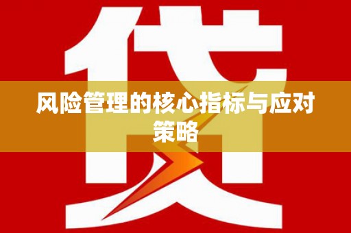 七美风险管理的核心指标与应对策略