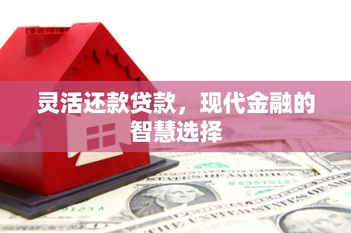 七美灵活还款贷款，现代金融的智慧选择
