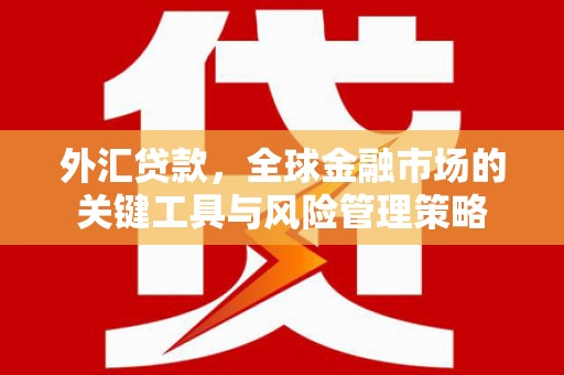 七美外汇贷款，全球金融市场的关键工具与风险管理策略