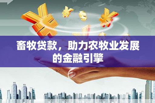 七美畜牧贷款，助力农牧业发展的金融引擎