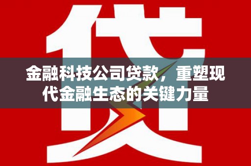 七美金融科技公司贷款，重塑现代金融生态的关键力量