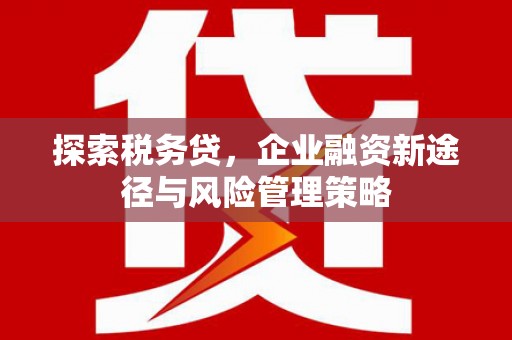 七美探索税务贷，企业融资新途径与风险管理策略