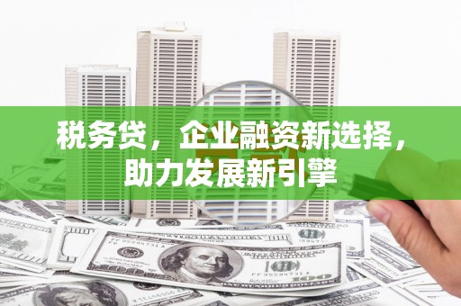 七美税务贷，企业融资新选择，助力发展新引擎