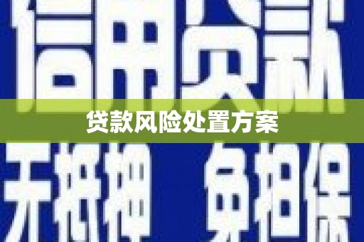七美贷款风险处置方案