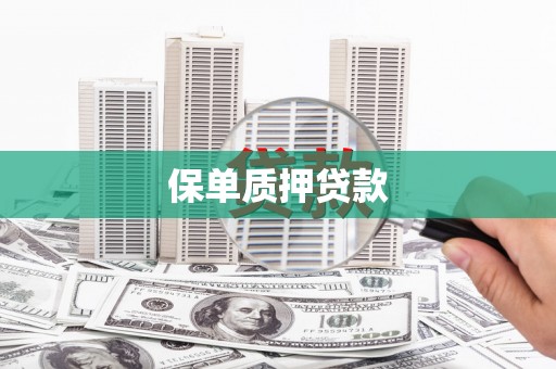 七美保单质押贷款