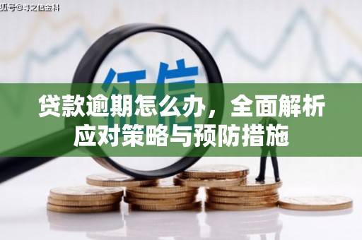 七美贷款逾期怎么办，全面解析应对策略与预防措施