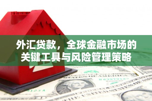 七美外汇贷款，全球金融市场的关键工具与风险管理策略