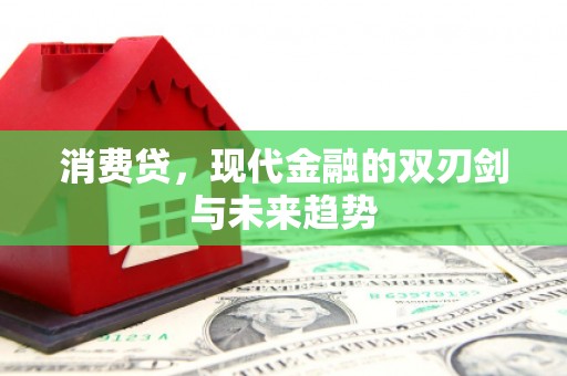 七美消费贷，现代金融的双刃剑与未来趋势