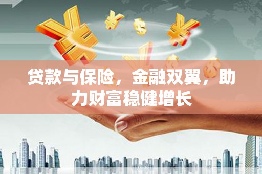 七美贷款与保险，金融双翼，助力财富稳健增长