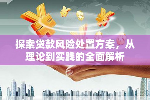 七美探索贷款风险处置方案，从理论到实践的全面解析