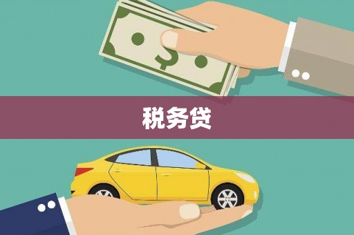 七美税务贷