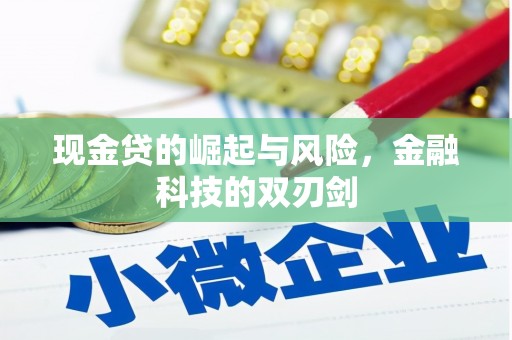 七美现金贷的崛起与风险，金融科技的双刃剑