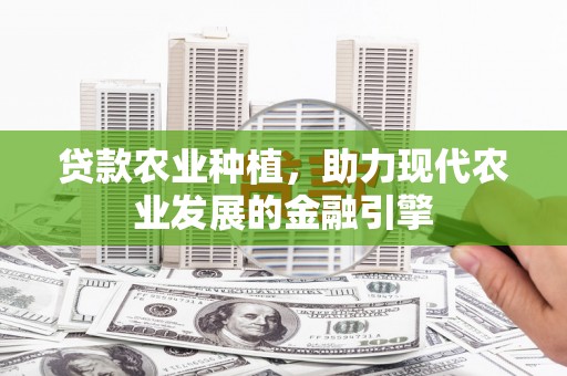 七美贷款农业种植，助力现代农业发展的金融引擎
