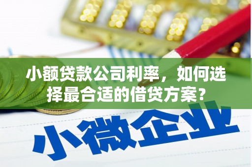 七美小额贷款公司利率，如何选择最合适的借贷方案？
