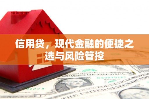 七美信用贷，现代金融的便捷之选与风险管控