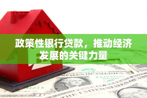 七美政策性银行贷款，推动经济发展的关键力量