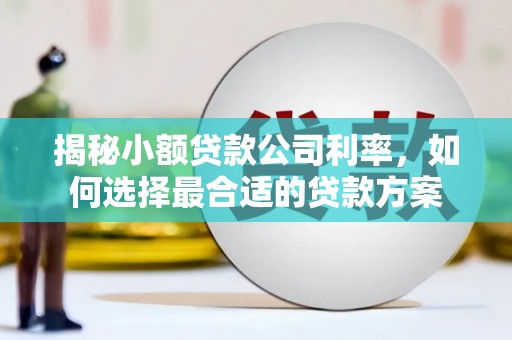 七美揭秘小额贷款公司利率，如何选择最合适的贷款方案