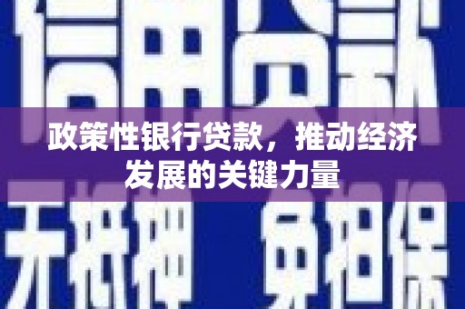七美政策性银行贷款，推动经济发展的关键力量