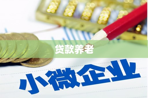 七美贷款养老