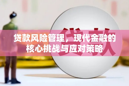 七美贷款风险管理，现代金融的核心挑战与应对策略