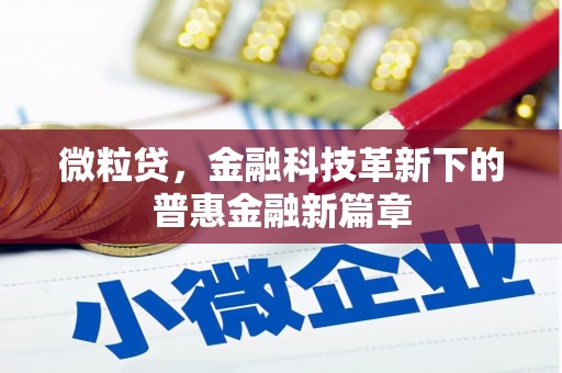 七美微粒贷，金融科技革新下的普惠金融新篇章
