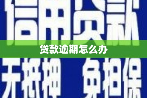 七美贷款逾期怎么办