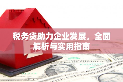 七美税务贷助力企业发展，全面解析与实用指南