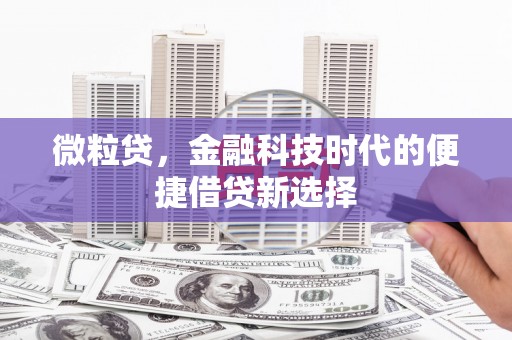 七美微粒贷，金融科技时代的便捷借贷新选择