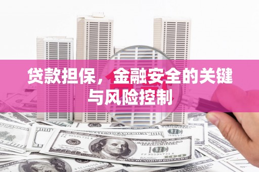七美贷款担保，金融安全的关键与风险控制