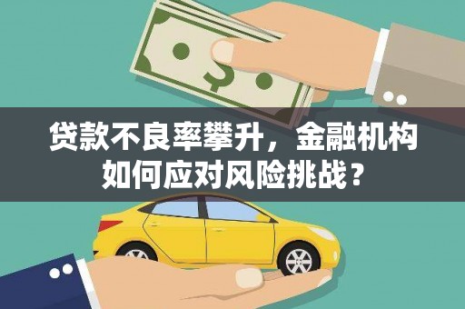 七美贷款不良率攀升，金融机构如何应对风险挑战？