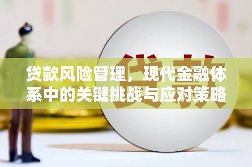 七美贷款风险管理，现代金融体系中的关键挑战与应对策略
