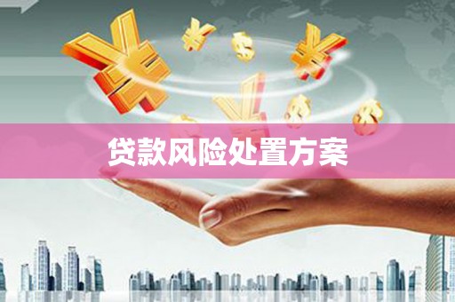 七美贷款风险处置方案