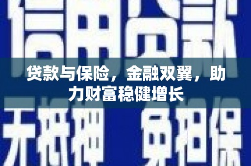 七美贷款与保险，金融双翼，助力财富稳健增长