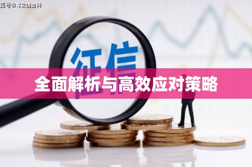 七美全面解析与高效应对策略