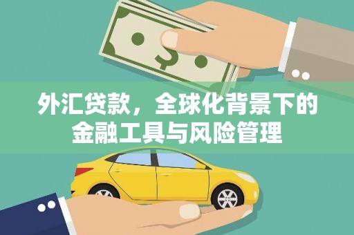 七美外汇贷款，全球化背景下的金融工具与风险管理