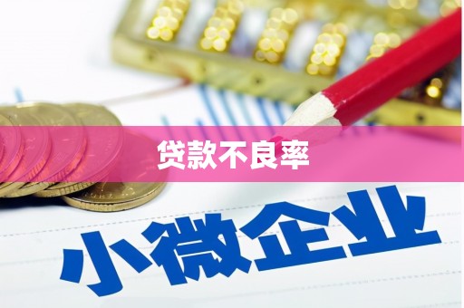 七美贷款不良率