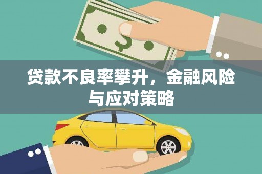 七美贷款不良率攀升，金融风险与应对策略