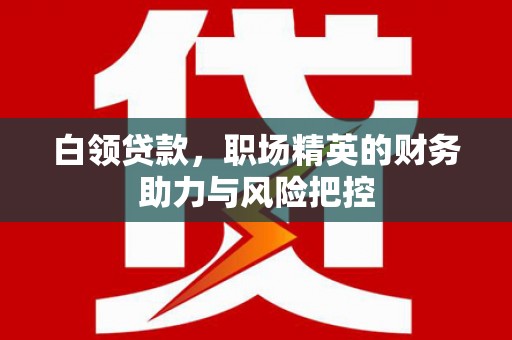 七美白领贷款,职场精英的财务助力与风险把控 七美白领贷款,职场精英的财务助力与风险把控